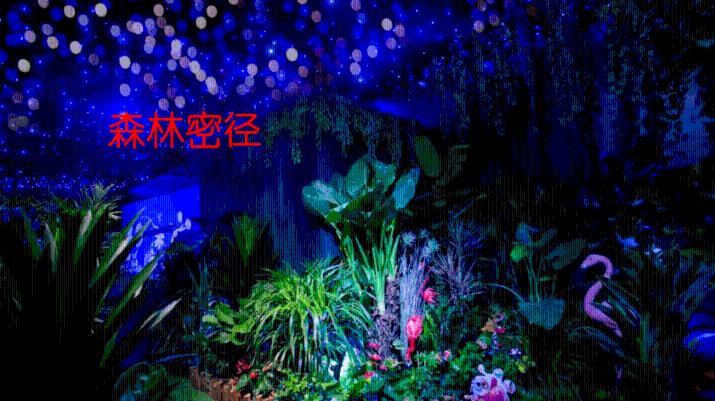 世界射箭锦标赛